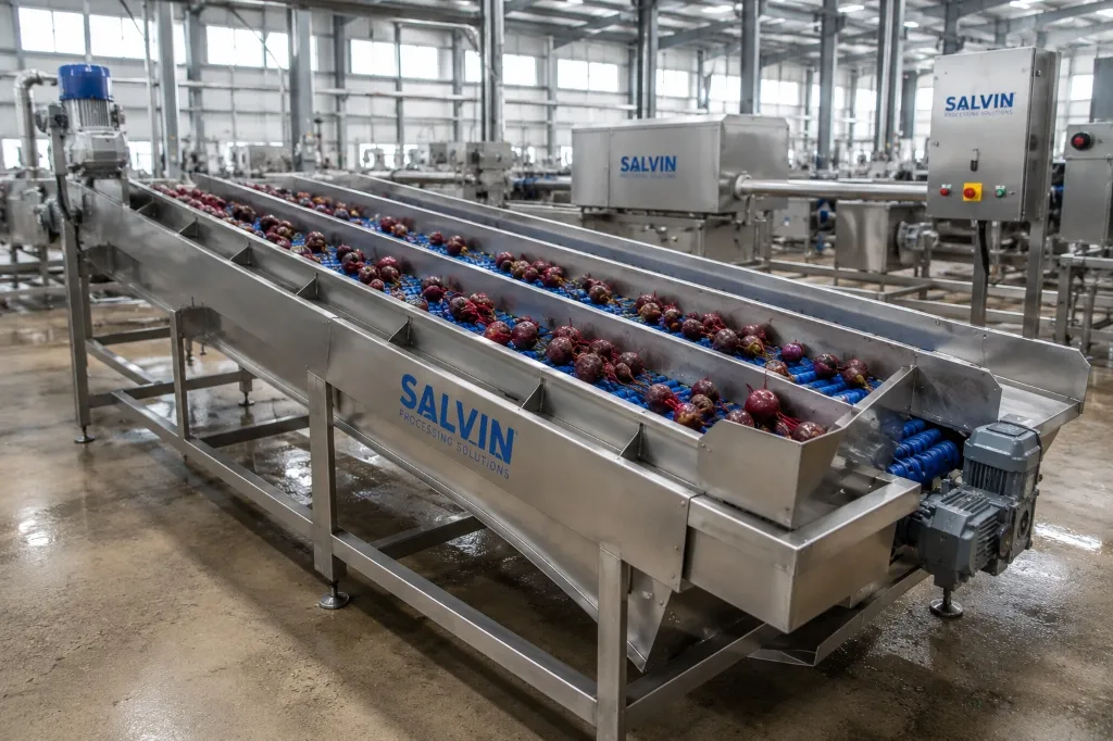 Sorting Conveyor