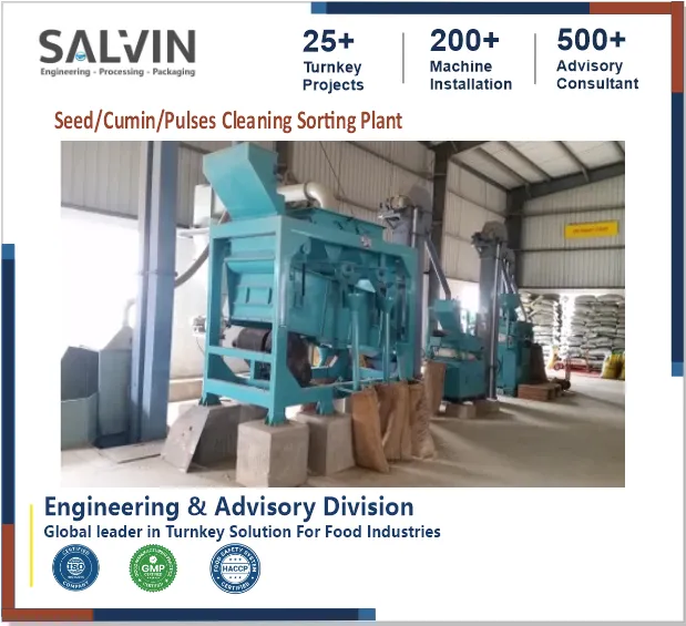 Seed Cleaning & Sorting Line