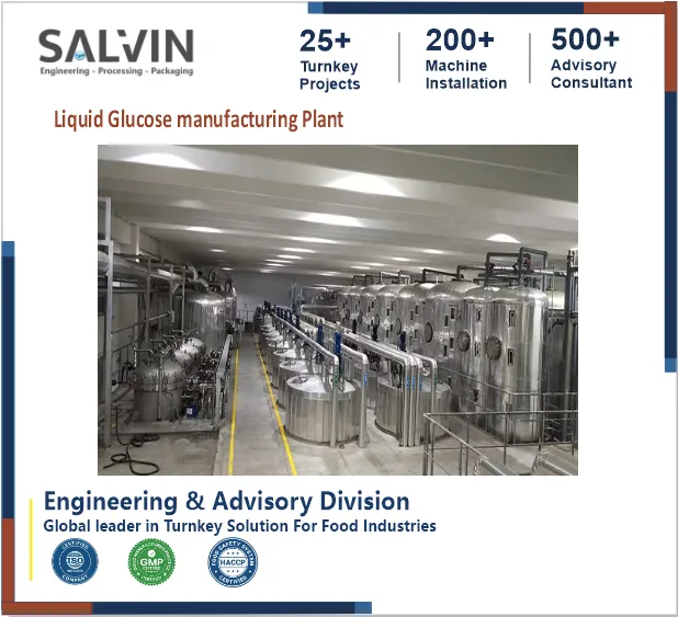 Liquid Glucose Manufacturing Plant