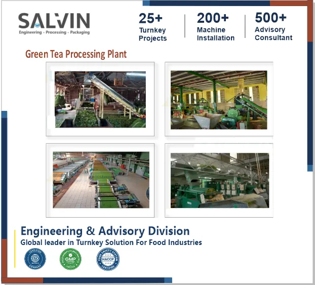 Green Tea Processing Plant