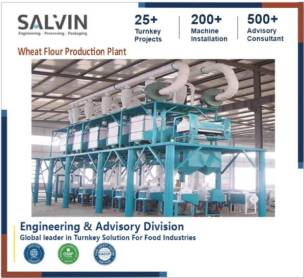 Wheat Flour Processing Plant