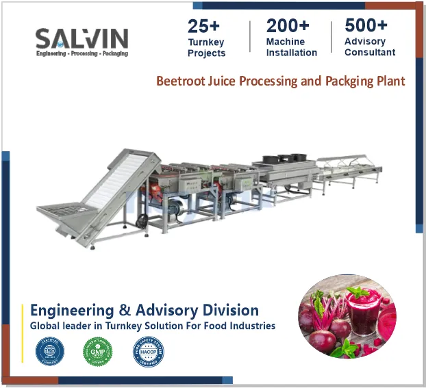 Beetroot Juice Processing Plant