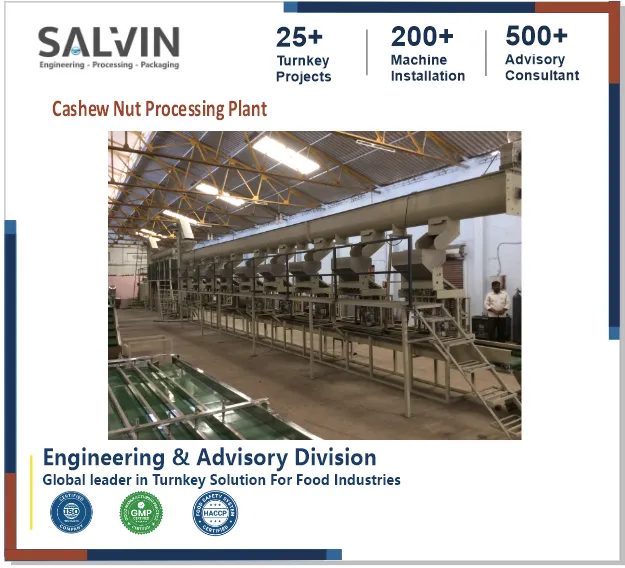 Cashew Nut Processing Plant