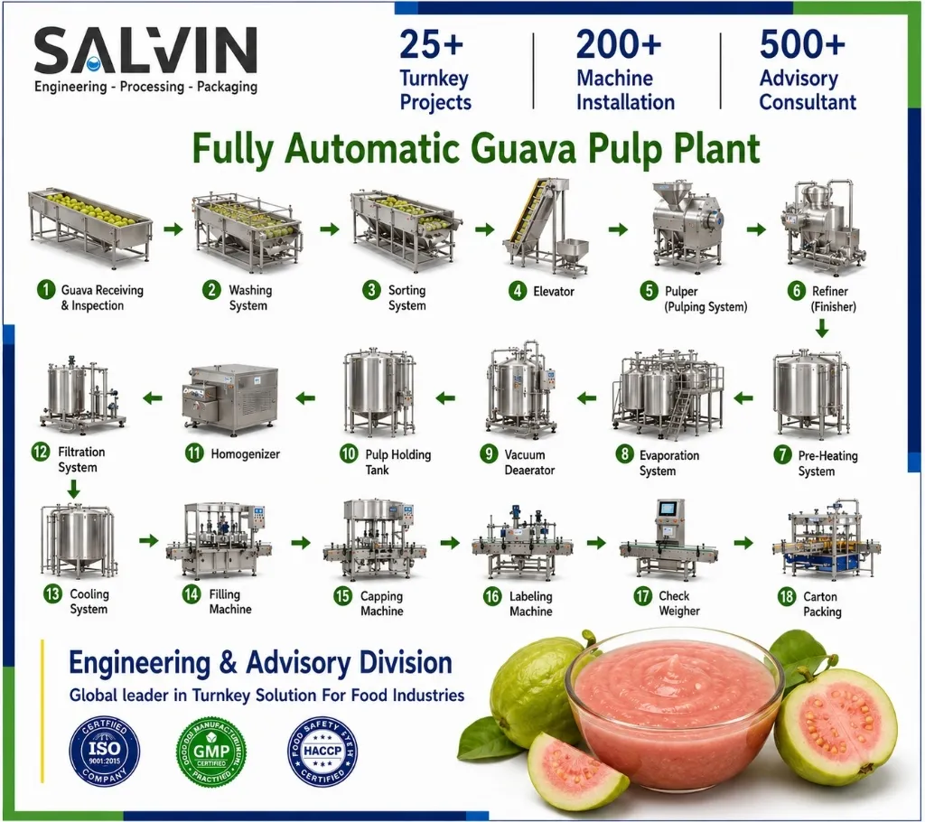 Fully Automatic Guava Pulp Plant