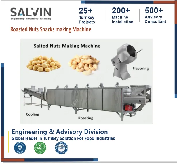 ROASTED NUTS SNACKS MAKING PLANT