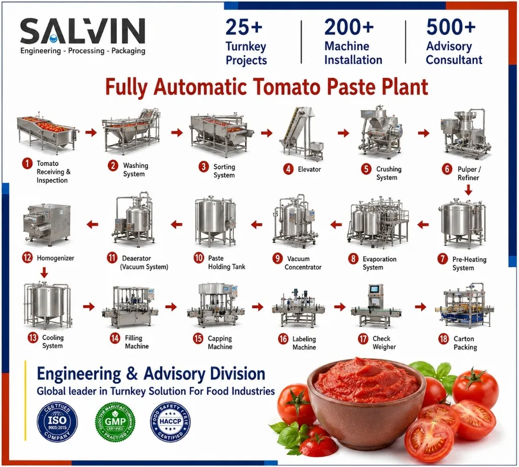 Tomato Paste Plant