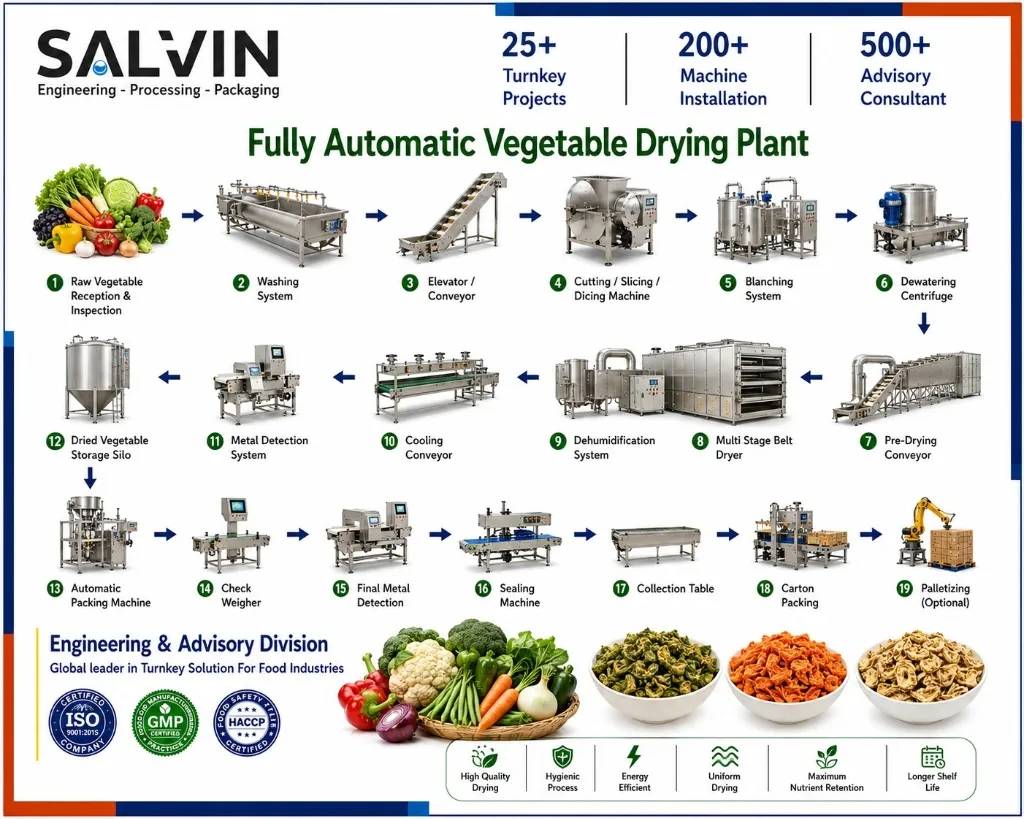 Fully Automatic Vegetable Drying Plant